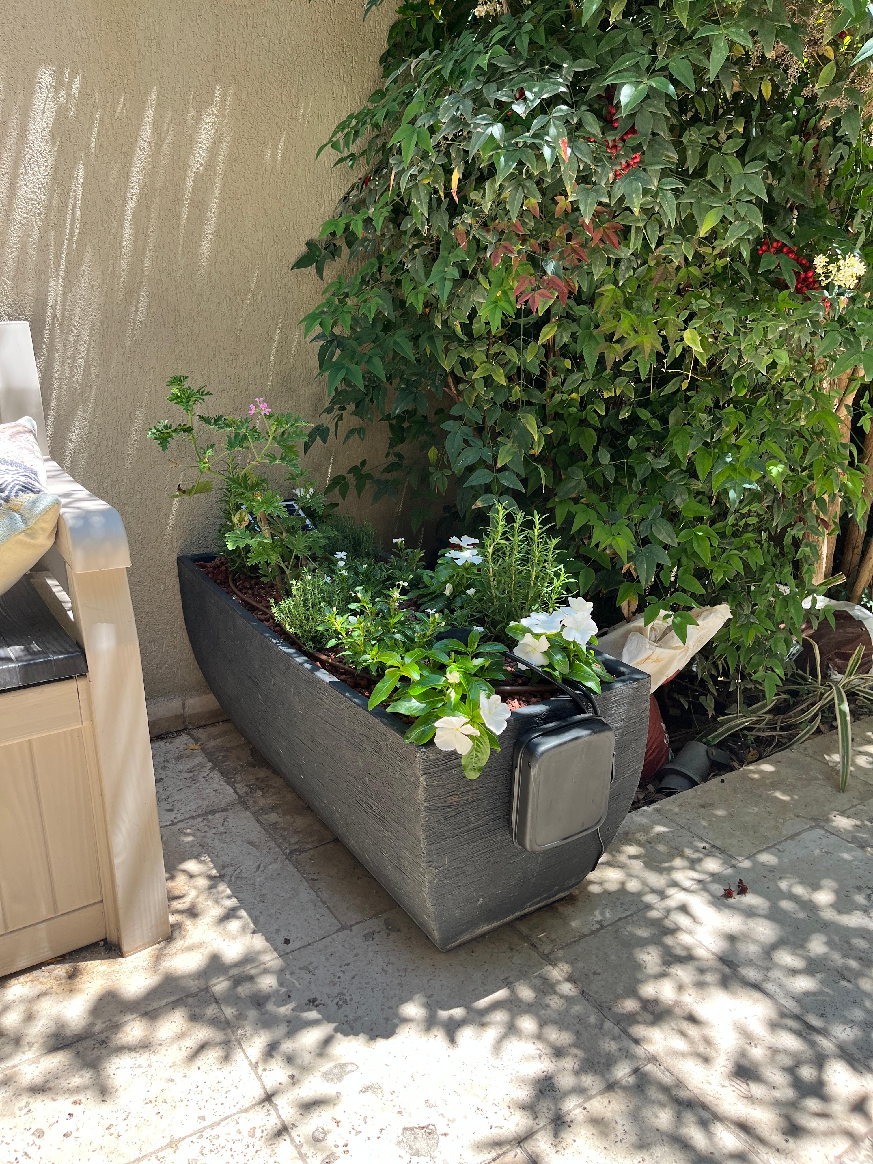 דוגמה למערכת High Garden 3