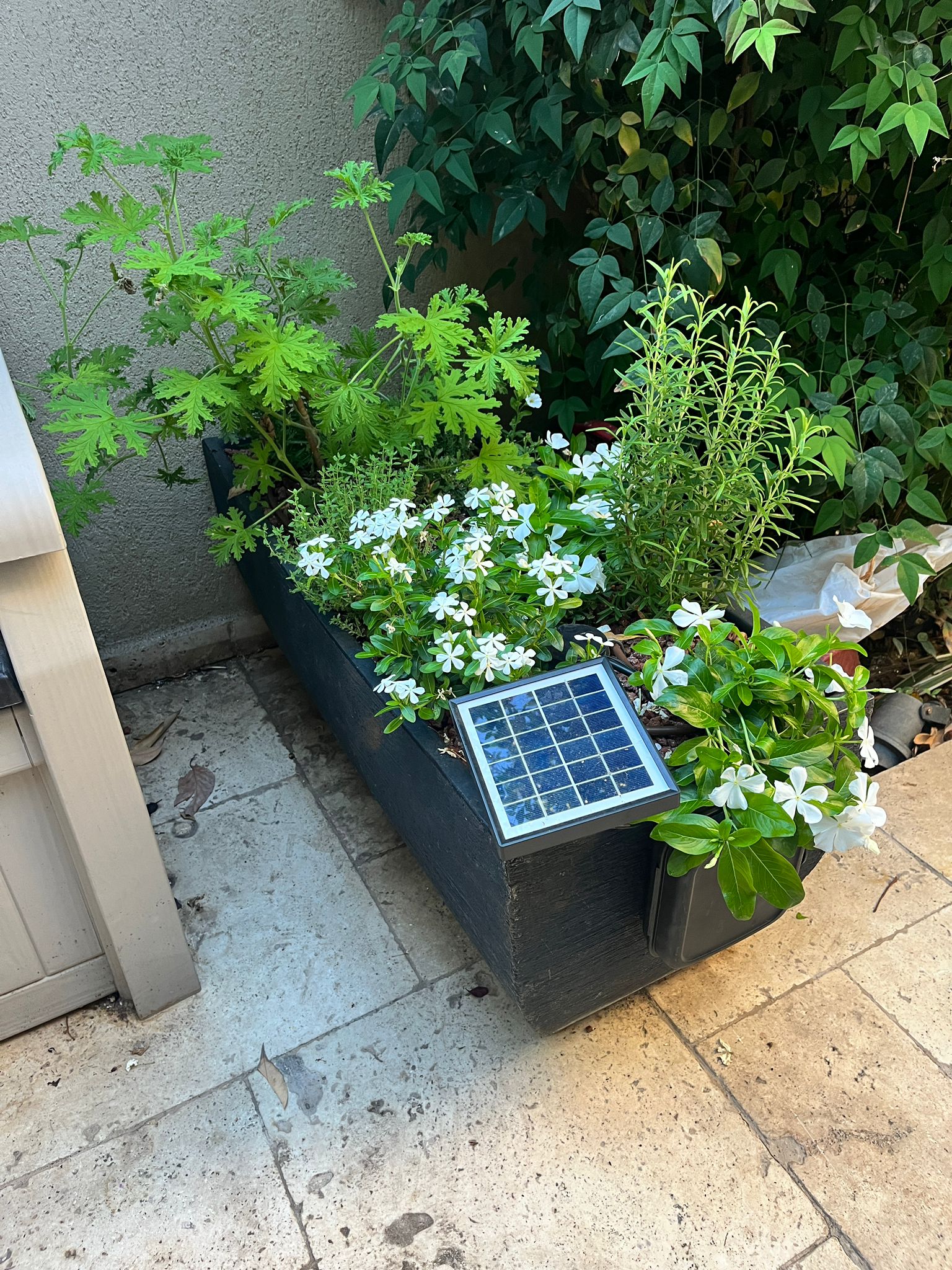 דוגמה למערכת High Garden 4