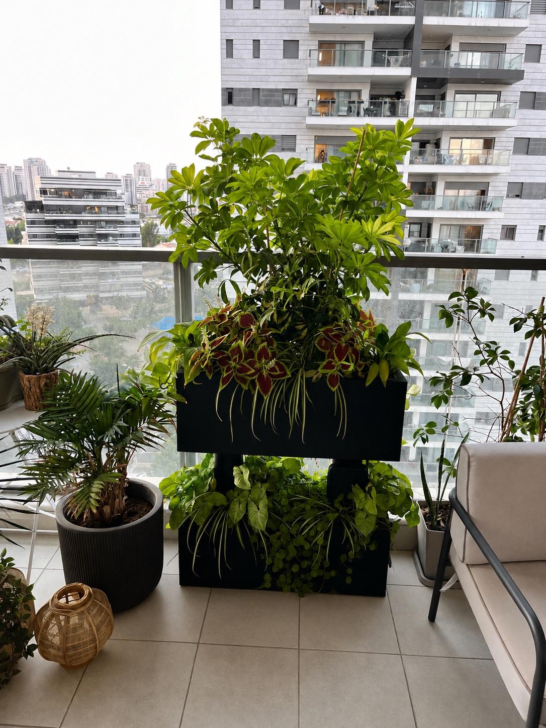 דוגמה למערכת High Garden 6